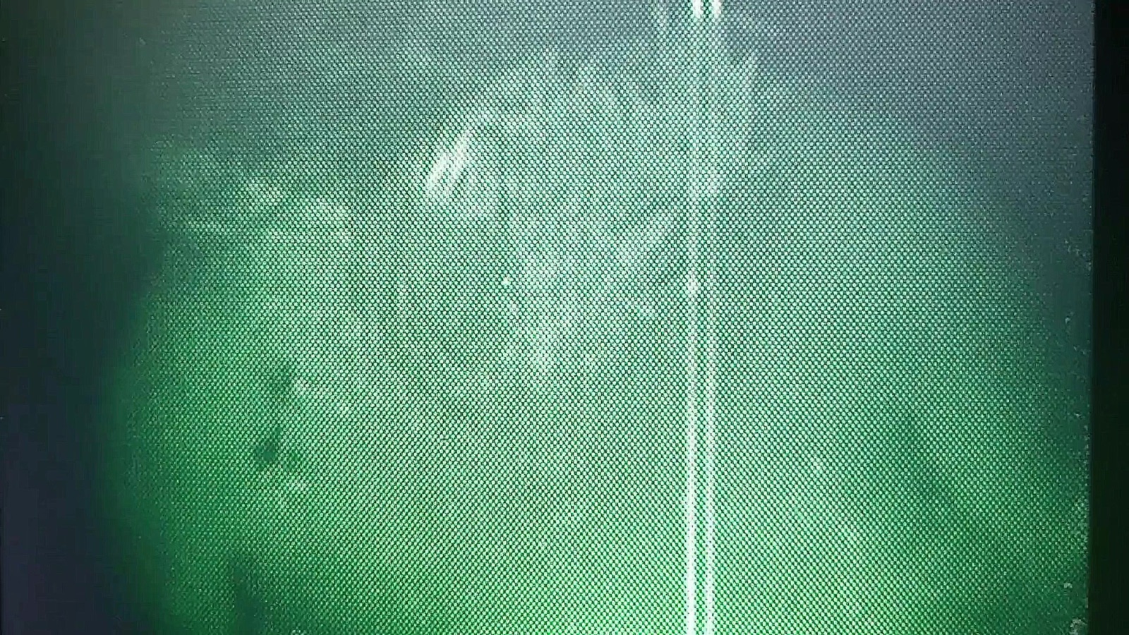 Pale spectral body-art image from Scrying Session number one.