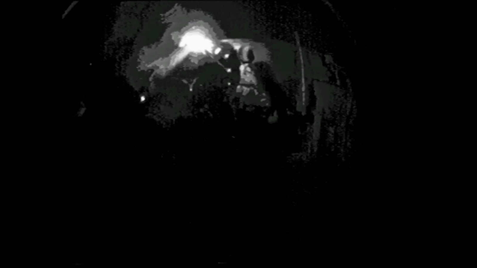 High-contrast black-and-white figure holding a camera in Skull And Stare Alone.