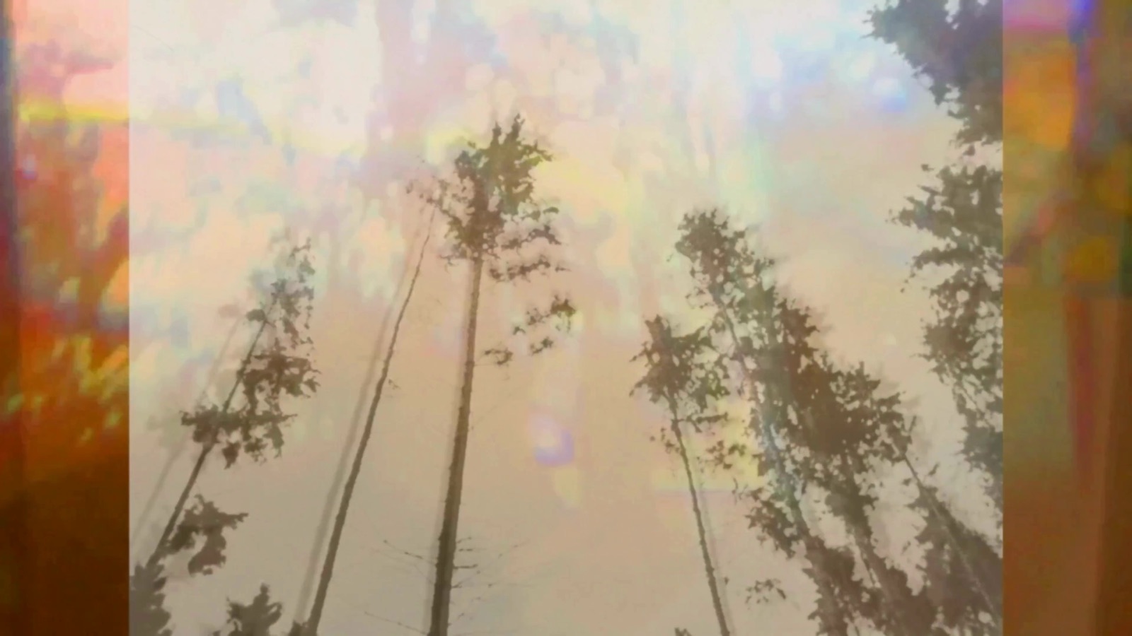 Blue and green layered forest textures from Sol Alegria Del Mare Alias Yume Nikki.